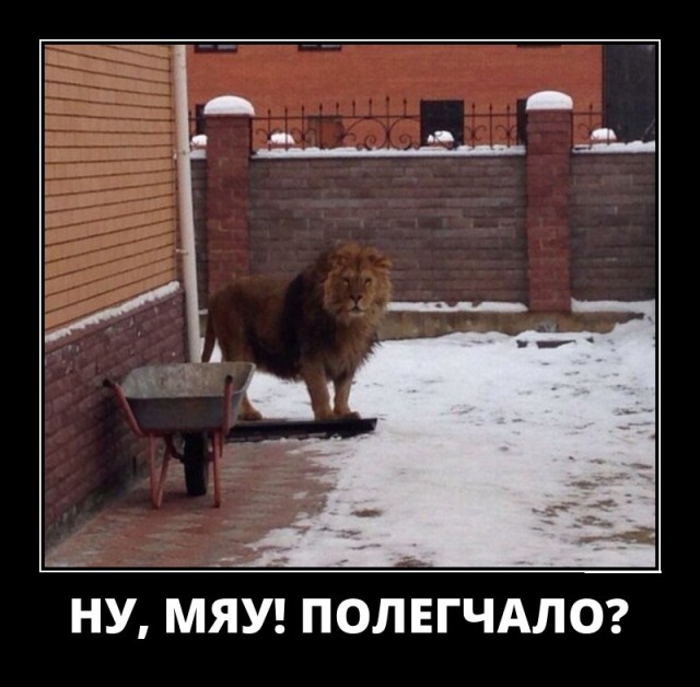Картинки в рамках с надписями