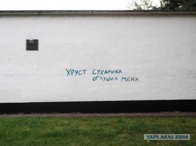 «Бродячие» философы: 17 глубокомысленных заметок в транспорте и на улицах