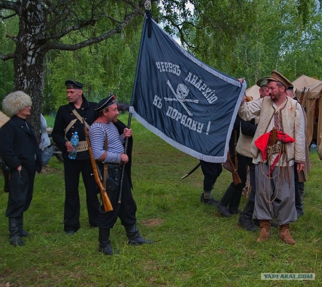 Кошачий патруль