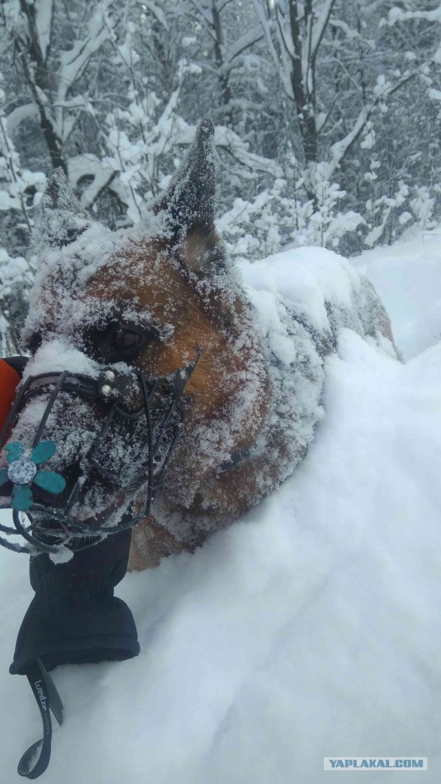 Чем занимаются слесаря, в свободное от работы время
