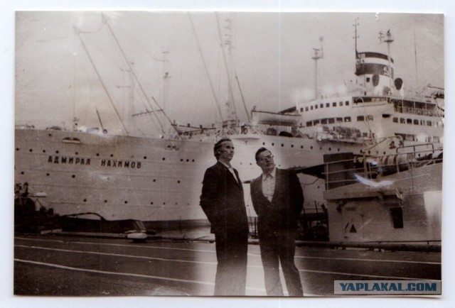 Море было покрыто людьми: катастрофа «Адмирала Нахимова»