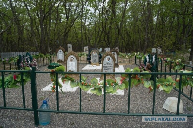 Лесное кладбище