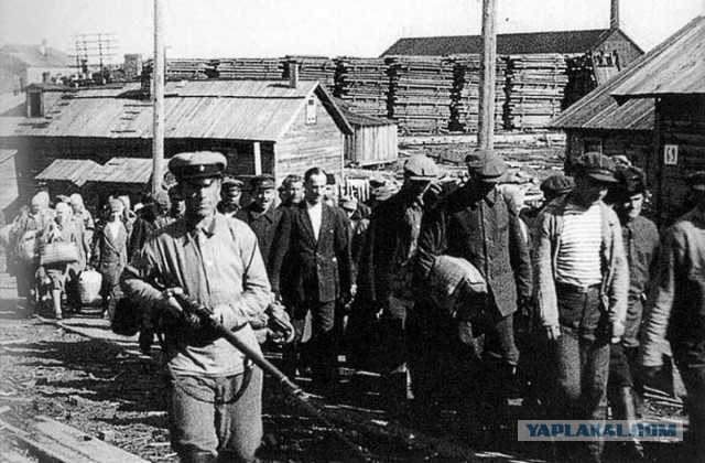 Кремль: все бывшие члены правительства РФ нашли новую работу.