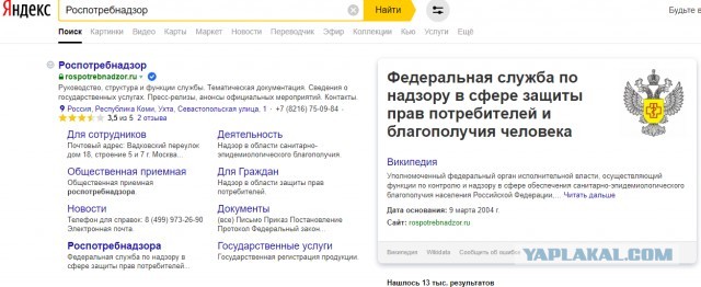 Двойник Роспотребнадзора