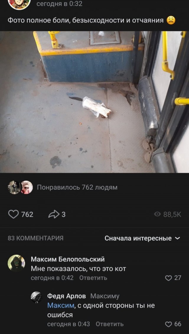 Немного картинок для настроения 14.03.20