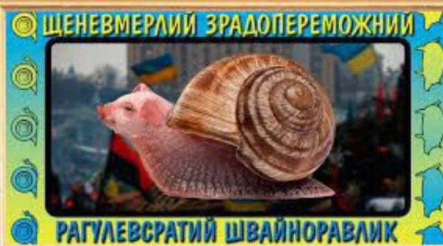Видеозагадка для аквариумистов и ихтиологов ЯПа: что это за чудо такое резкое и жуткое?