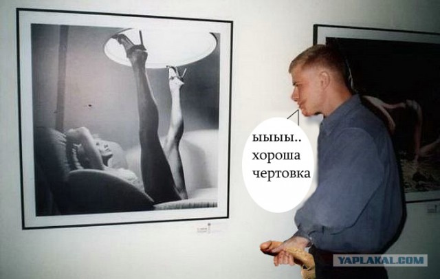 Фотожаба: Молодой ценитель