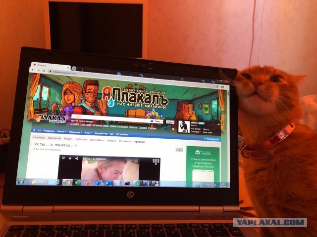 ⚡ Сайту Yaplakal.com сегодня 16 лет!
