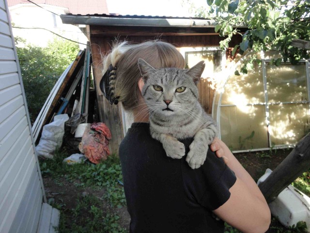 Эти забавные животные