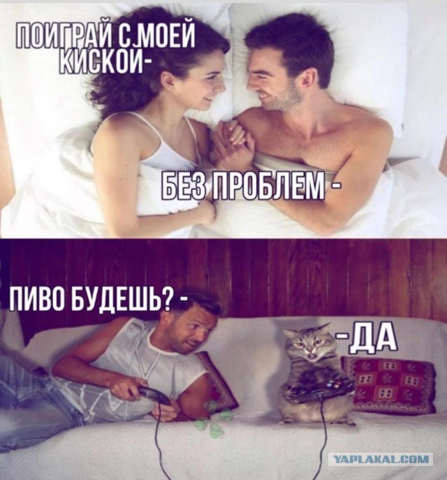 Чепуха на четверг.11-12
