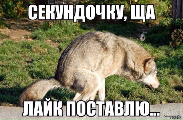 Битва за перестарок или на сколько мужики перестали себя ценить