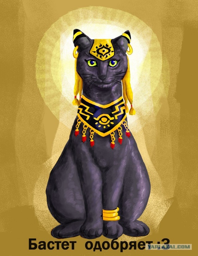 The Kiffness - Alugalug Cat
