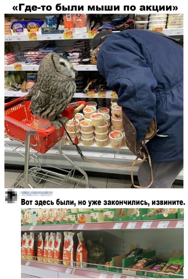Юмор и прикольные картинки