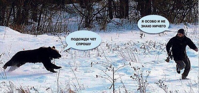 На Аляске спасли мужчину, который неделю отстреливался и отпинывался от назойливого медведя