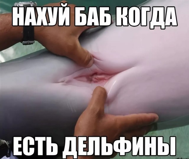 Здоровье и медицина: 9 фактов о женском половом органе