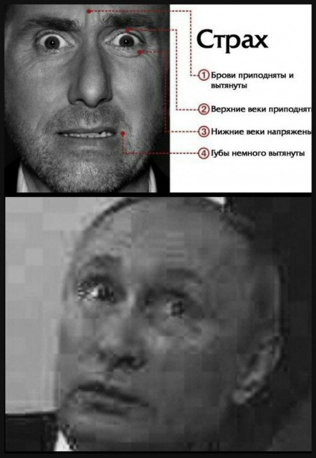 Покушение на Президента - Правда или нет?