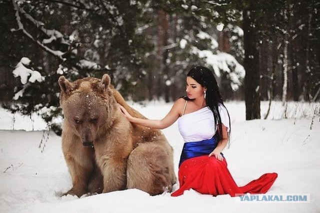 "Ой, да тут медведи водятся..."