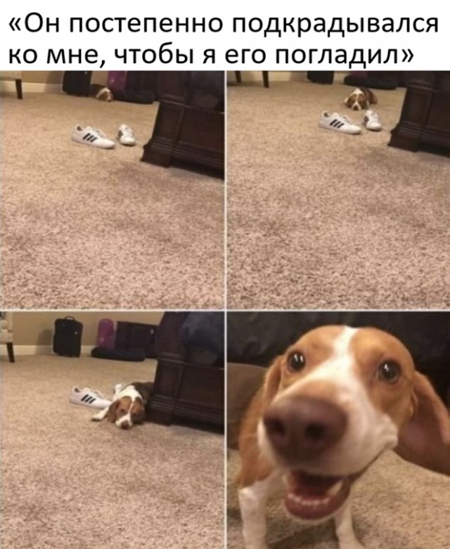 Картинки и мемы для настроения 16.11.2021