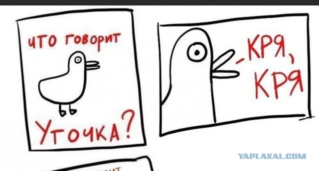 О семейных ценностях. Жиза, такая, что вам и не снилась