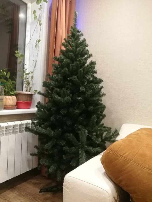 Кто как встречает НГ?