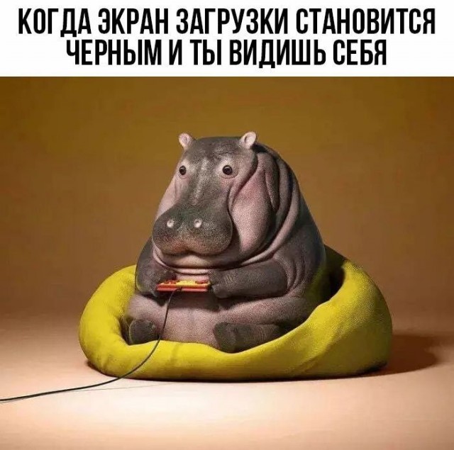Чуток картинок 17.12.21
