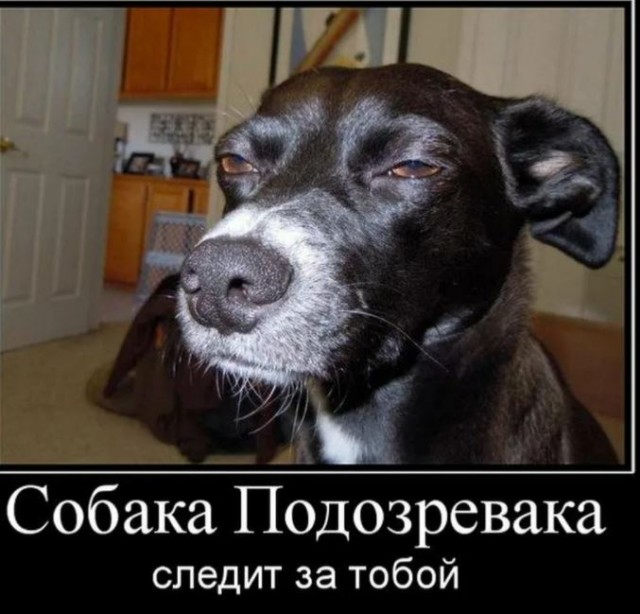 Пандемия. Коронавирус. Россия и мир. Часть 28