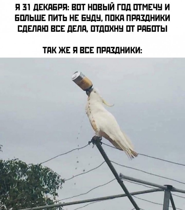 Картинки и мемы для настроения