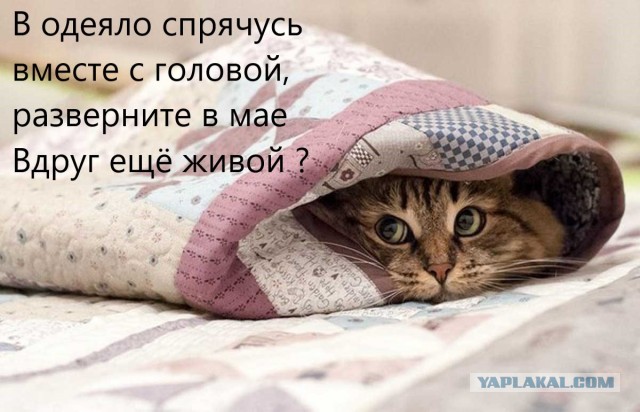 Было бы хорошо…