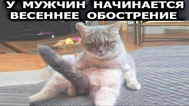 Картинки и мемы, всем хороших выходных
