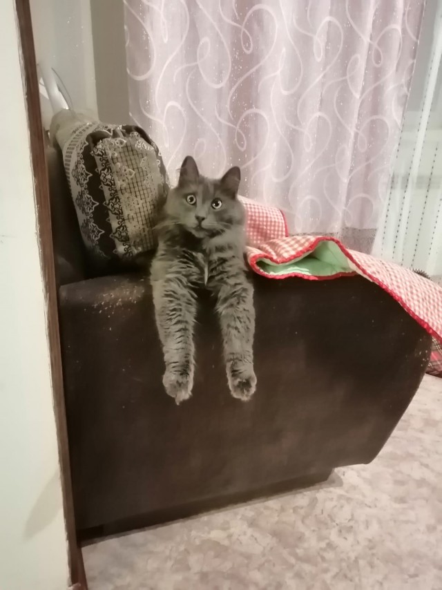 Кот д’Ивуар