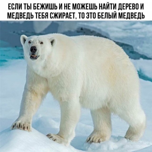 Картинки и мемы для настроения. Выходные скоро