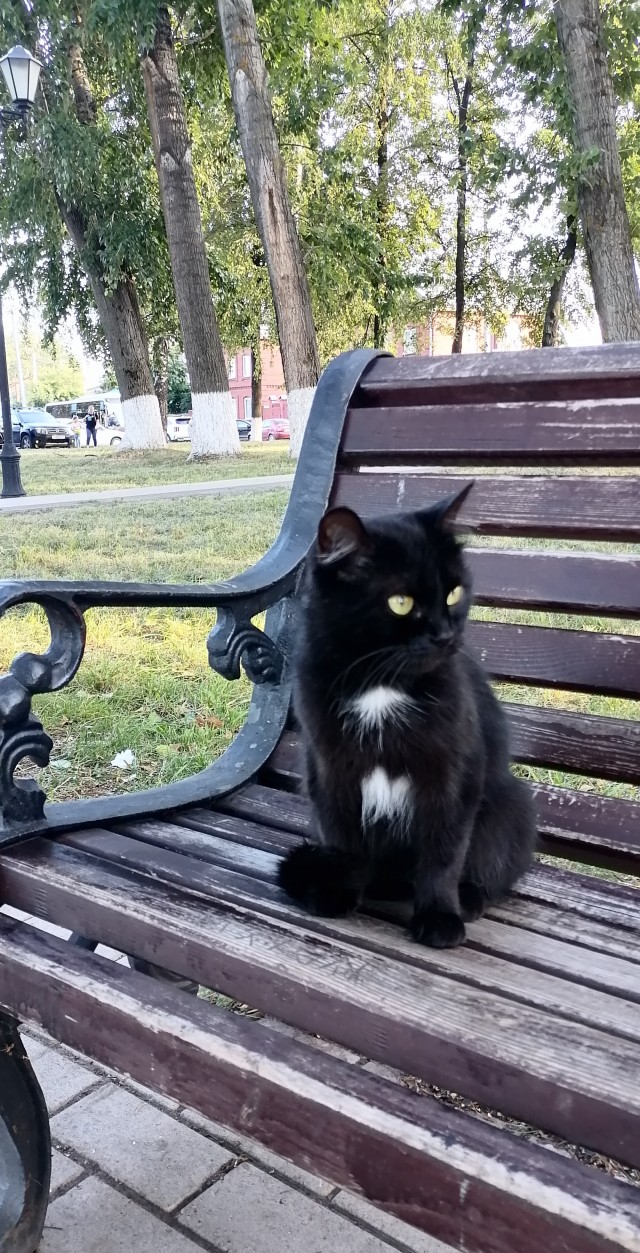 «Чё вам, бабам, надо?» Баба ответила...