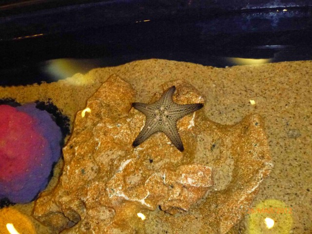 Путешествие в Таиланд.