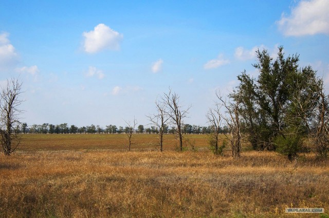 Дорога Астрахань — Элиста, 300км странного мира.
