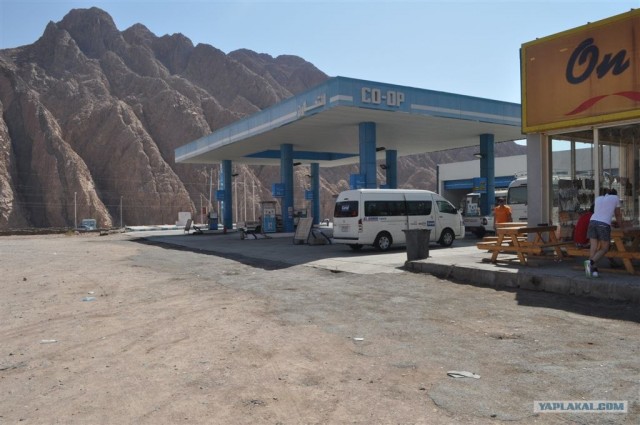 Как я ездил в Египет