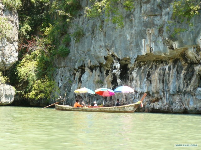 Немного Тая