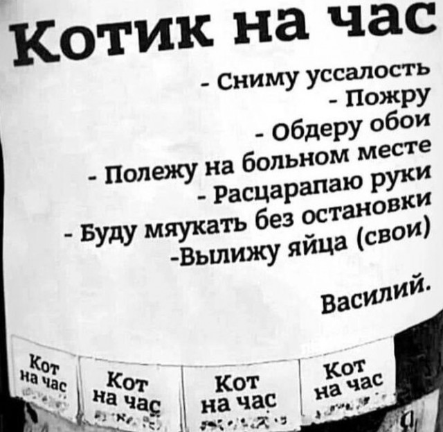 Так себе картинки 25.12.22