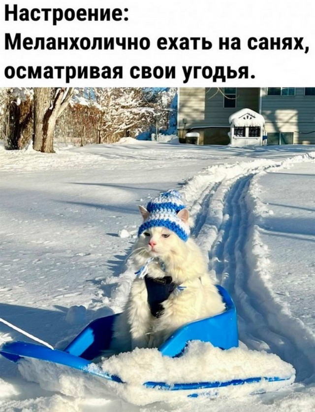 Картинки и мемы для настроения - 015
