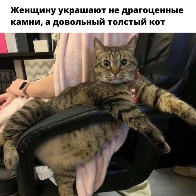Так себе картинки 23.06.23