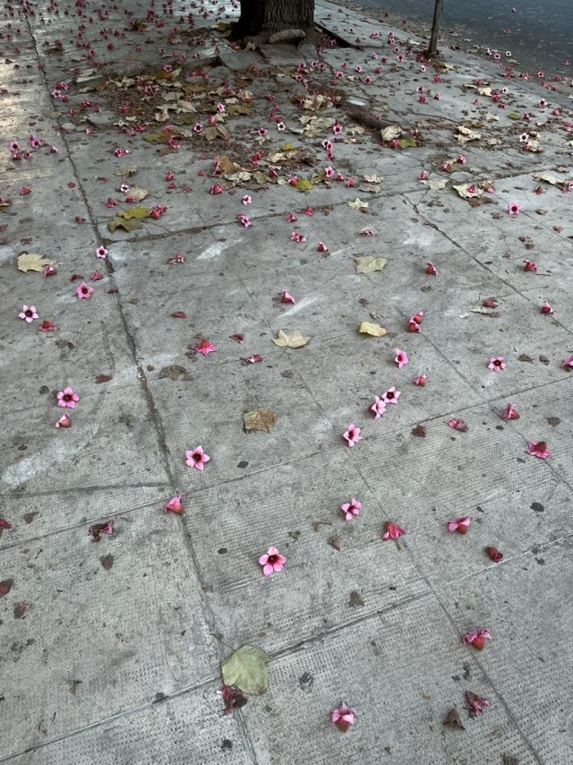 Немного отдыхательских фотокарточек на понедельник