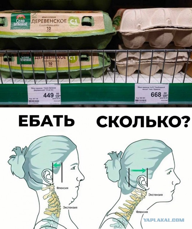 Краснов поручил проверить факты необоснованного завышения цен на куриные яйца в России и принять меры