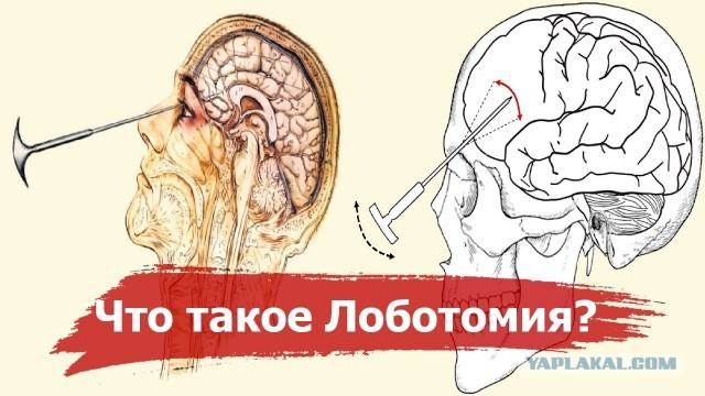 На суде смеются, ни капли раскаяния: в Челябинске проходит суд бандой таджиков, лишивших жизни русского парня у ТЦ "Космос" в 20