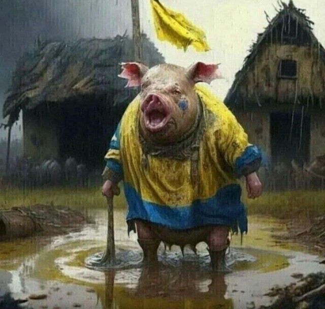 Ветровка.