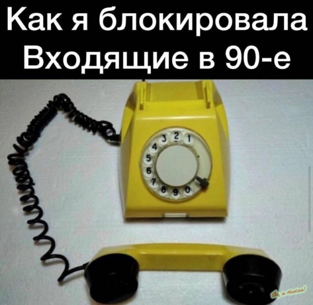 Весёлый полтишок 23.06.24