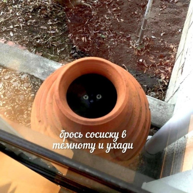 Завалялось тут случайно немного забавных картинок