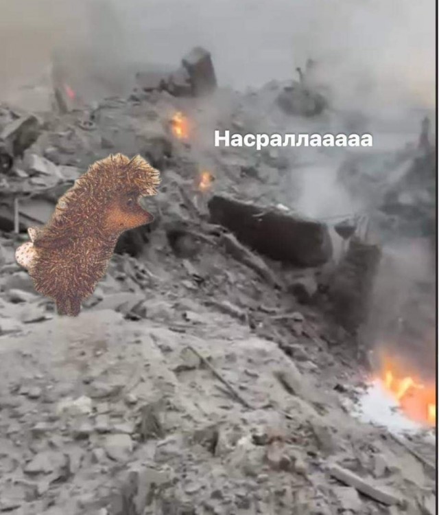 Насралла капут?