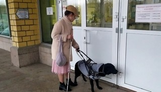 Незрячей сотруднице красноярской больницы разрешили приводить собаку-поводыря