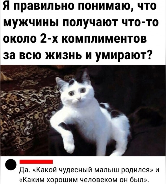 Завалялось тут случайно немного забавных картинок