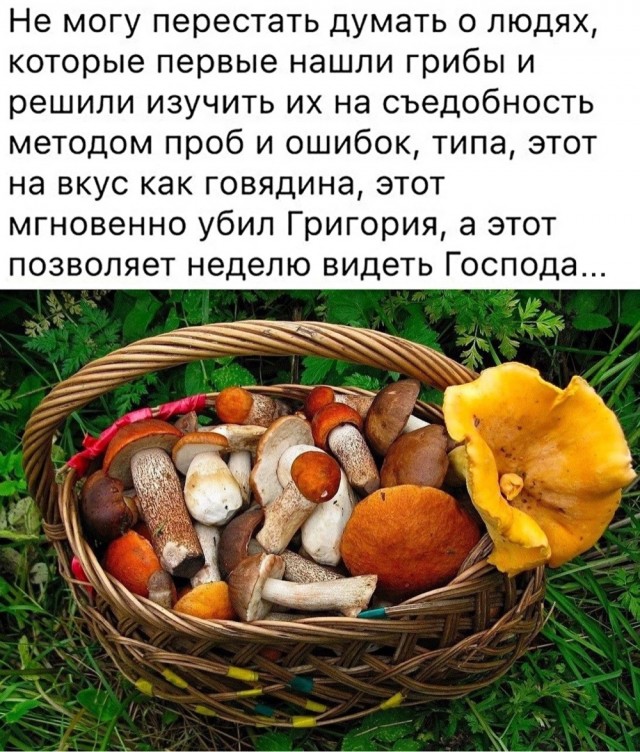 Это к нам менты что ли?