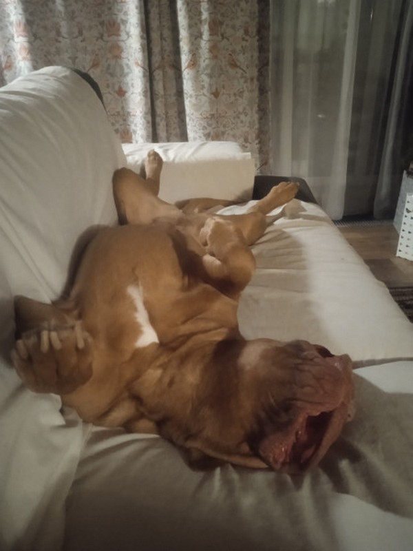 Что то пошло не так..